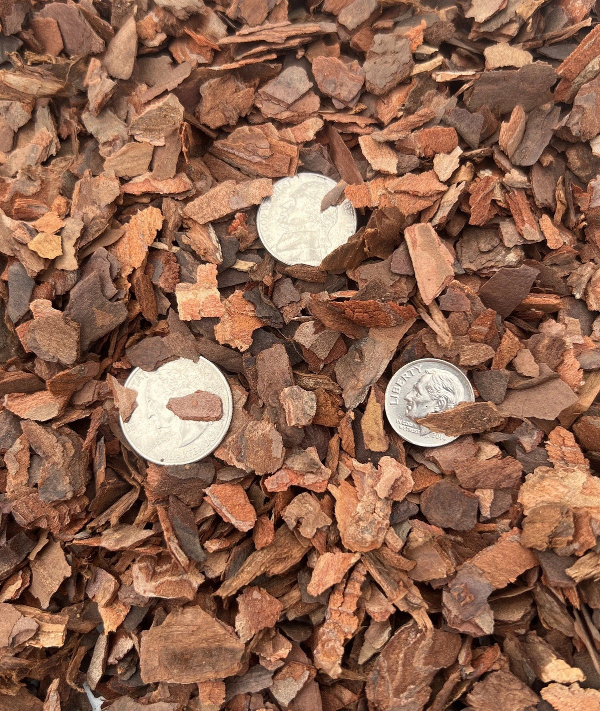 Pure Pine Bark Fines | 1/4" to 1/2" (8 Qt)